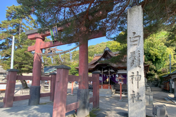 白鬚神社 社務所